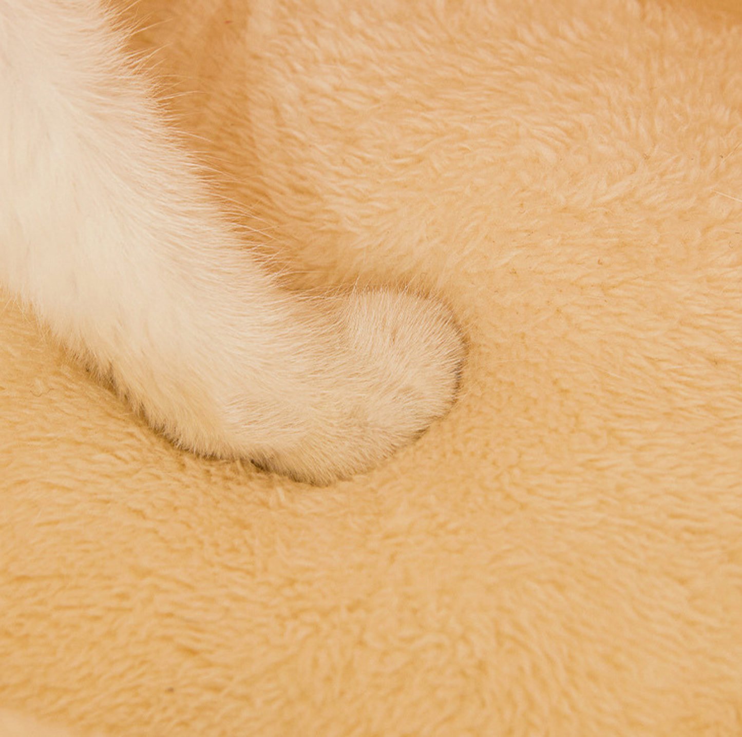 Warm Slipper Shaped Pet Sleeping Bag