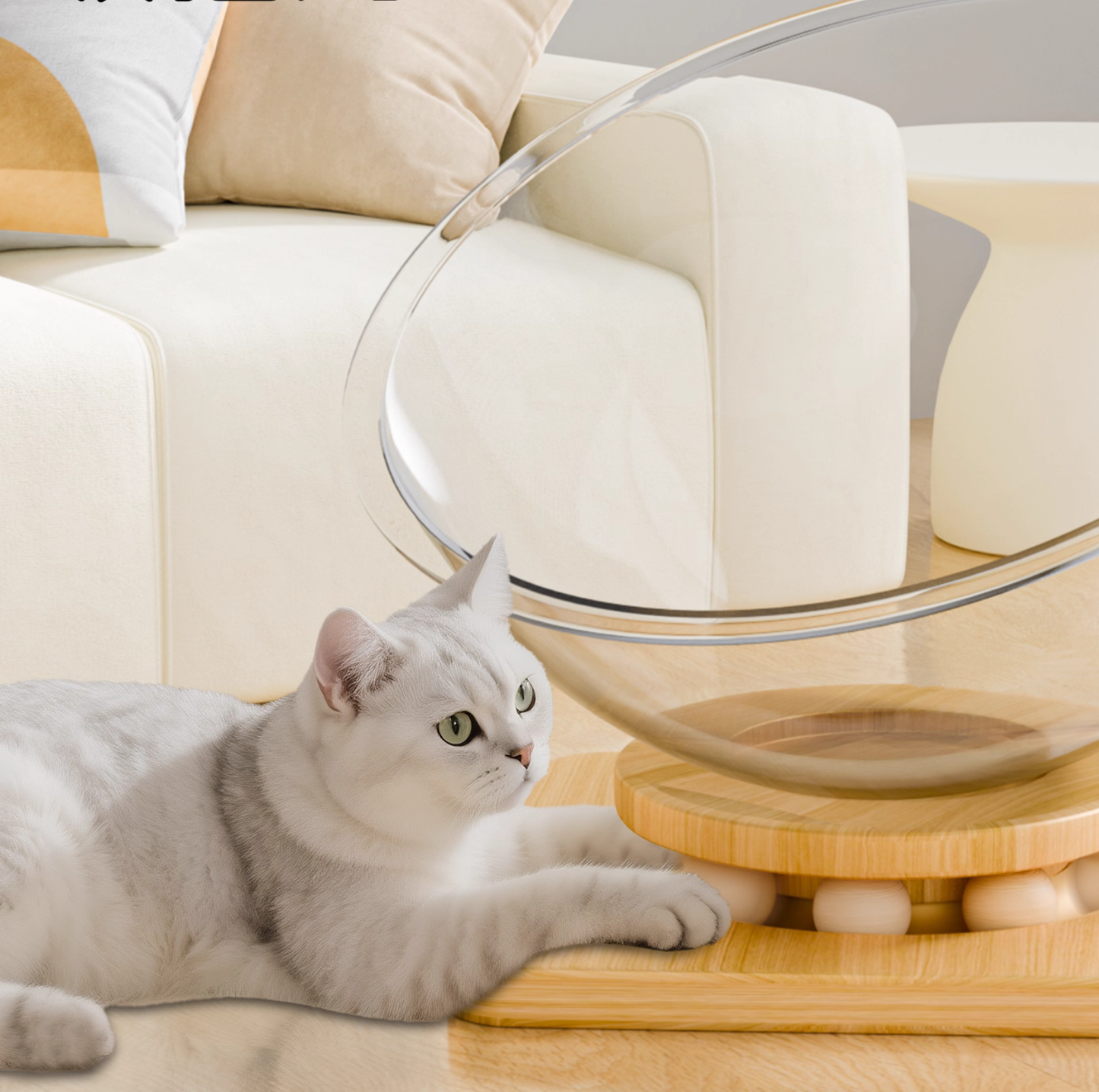 Clear Acrylic All-Season Cat Nest – Modern Floating Pod Bed with Wooden Base