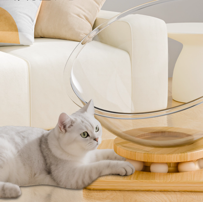 Clear Acrylic All-Season Cat Nest – Modern Floating Pod Bed with Wooden Base