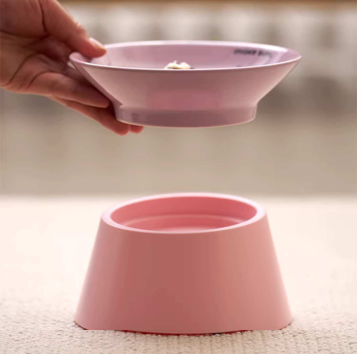 Makesure Tawa Elevated Ceramic Pet Bowl