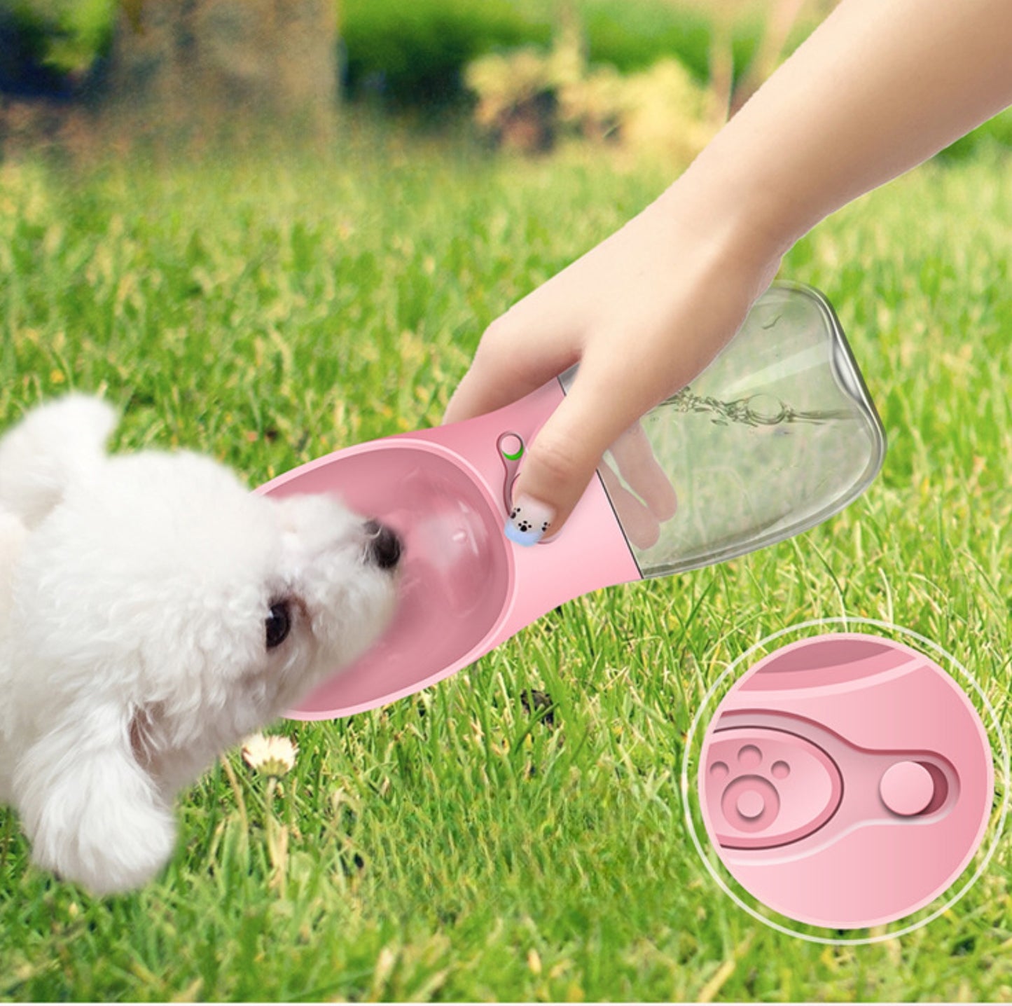 Portable Pet Water Bottle - Leak-proof and Durable, 550ml