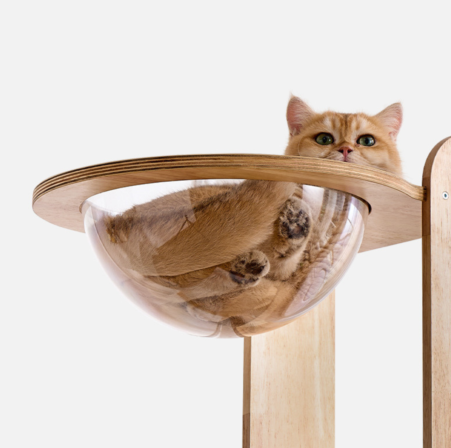 Solid Wood Multi-Level Cat Tower - 183cm