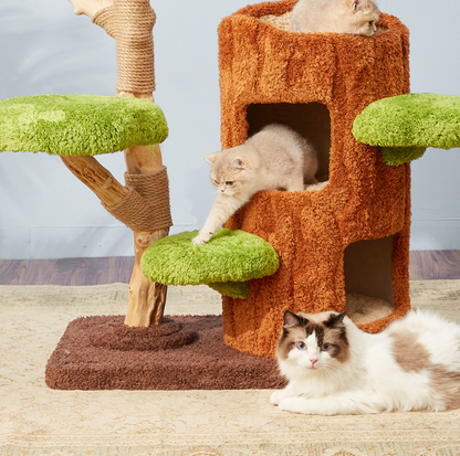 Cmisstree Tree Hollow Solid Wood 5-Tired Large Cat Tree