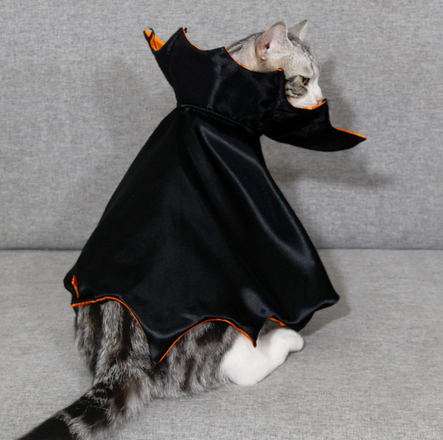 Halloween Vampire Cape for Cats and Dogs