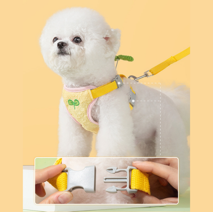 Vibrant Outdoor Pet Harness with Vest-Style Support