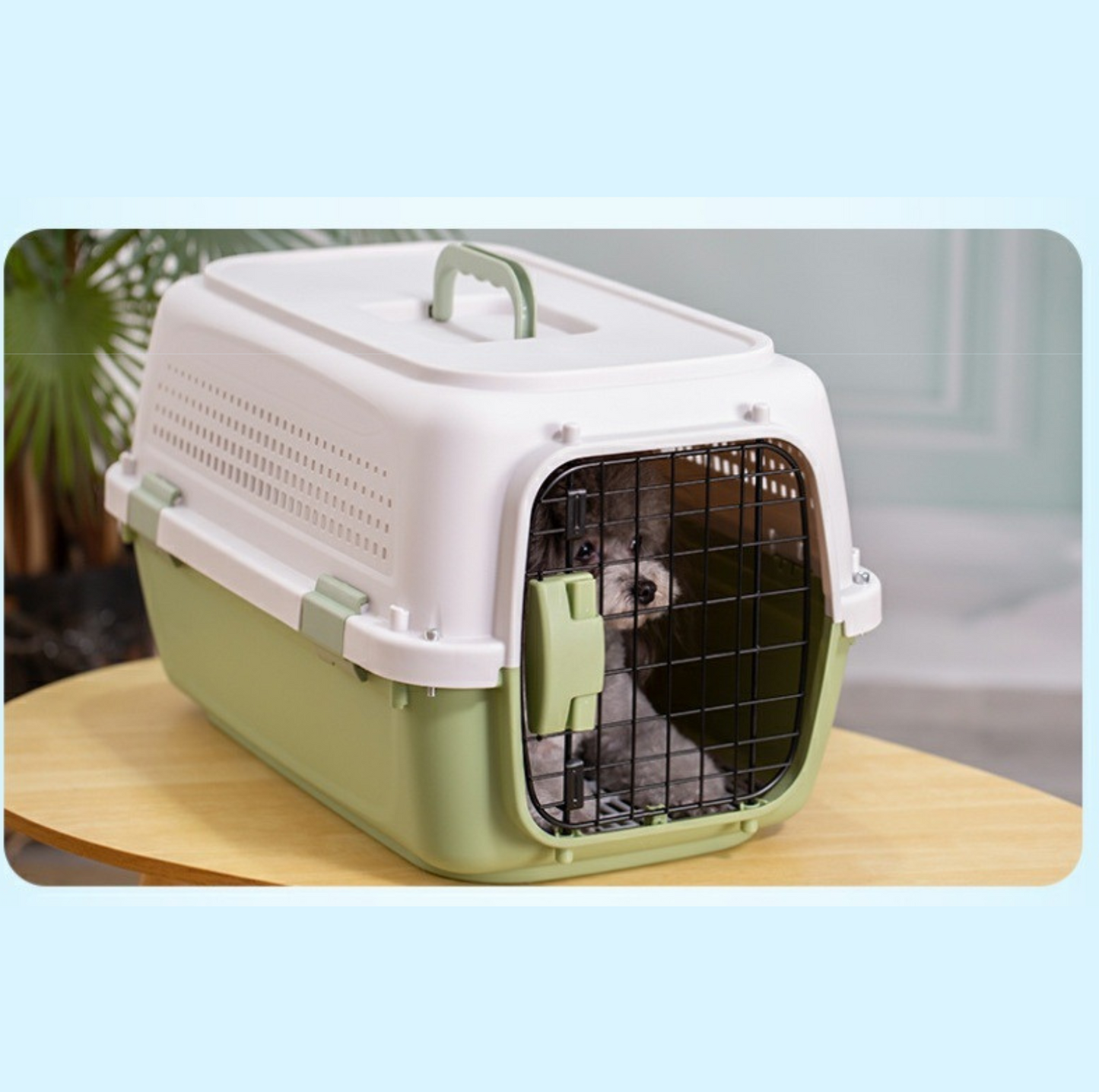 Airline-Ready Pet Travel Carrier