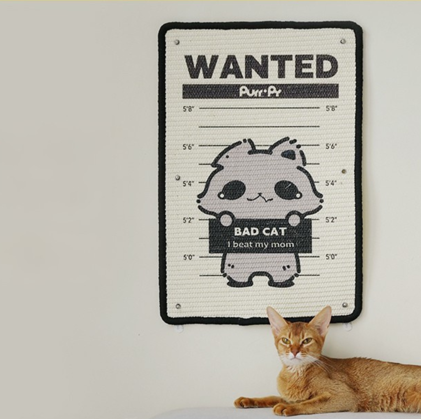Wall Mounted Sisal Cat Scratching Mat - Bad Cats