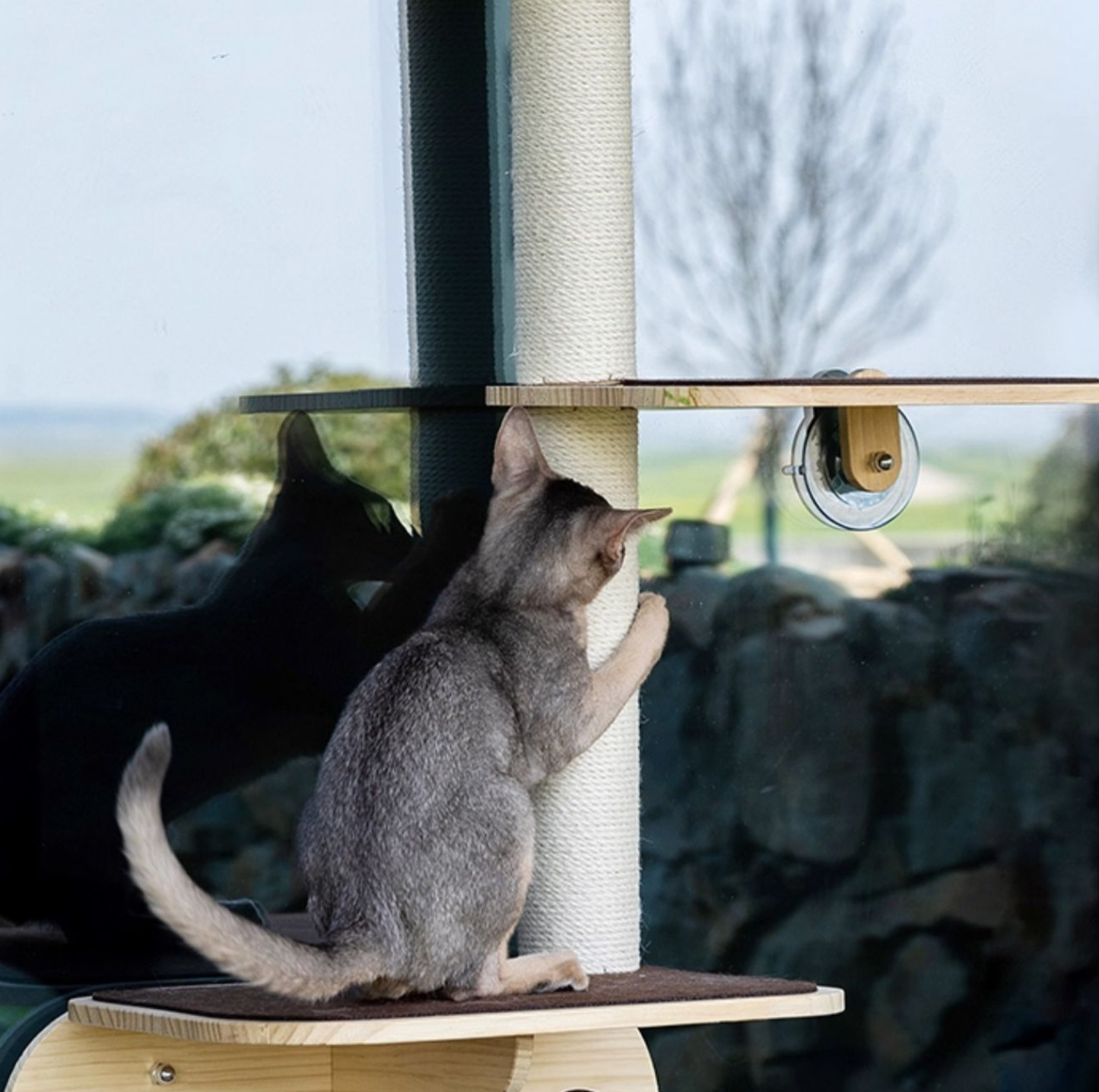 Giraffe-Themed Window/Tile-Mounted Cat Tree with Suction Cups