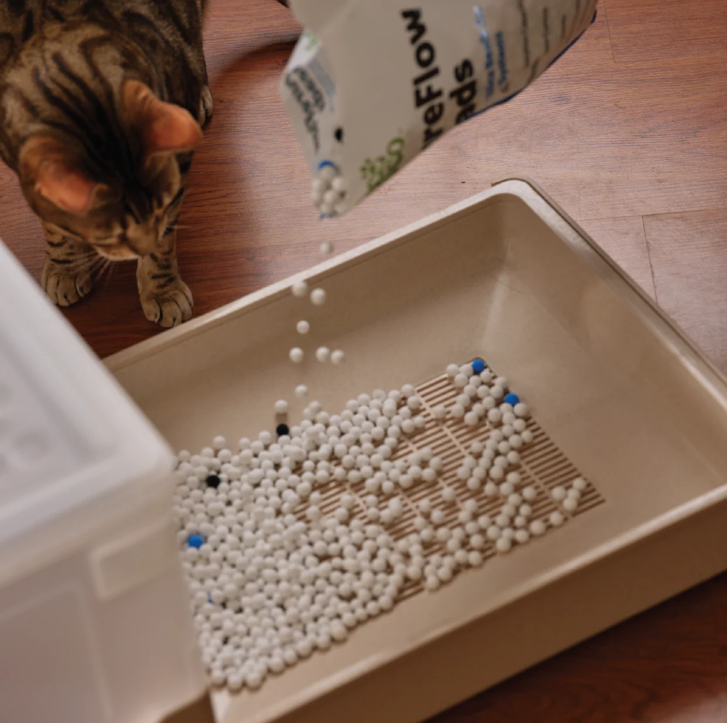 Ecoboco Pure Flow Double-Layer Cat Litter Box and Cat Litter System