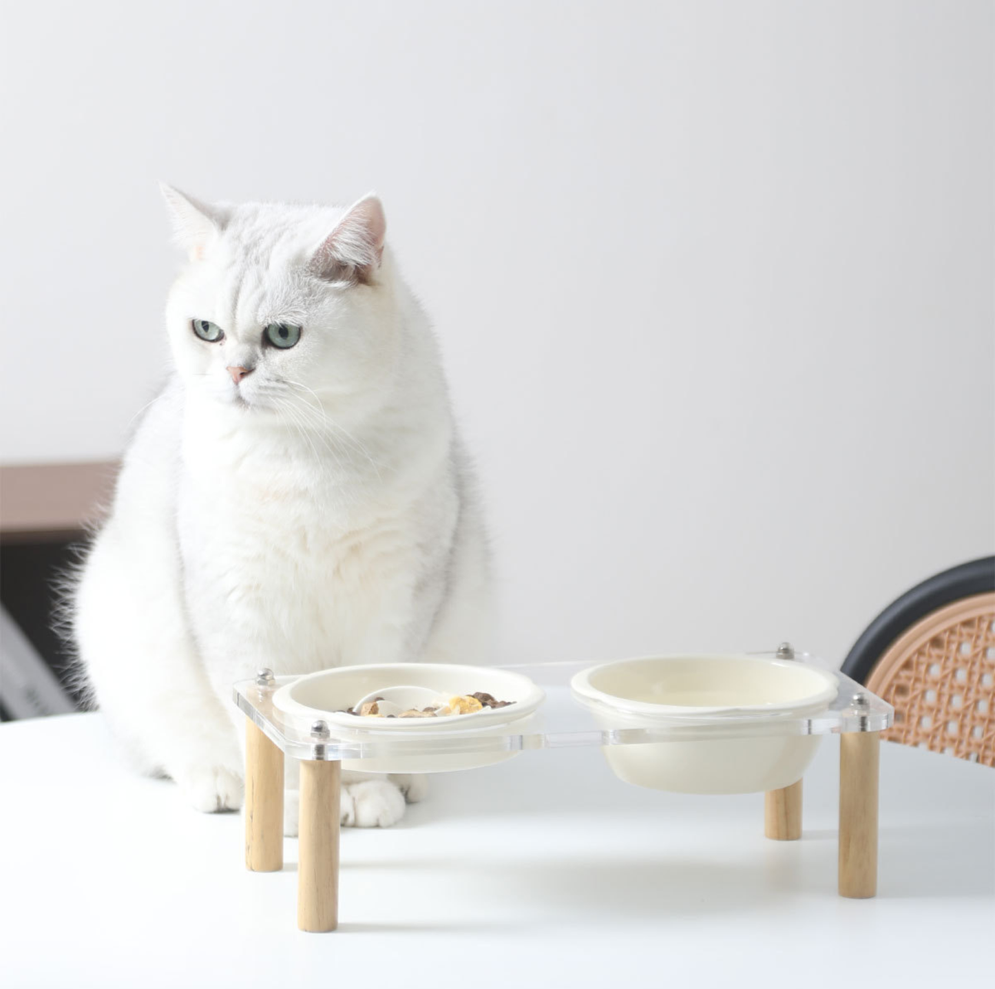 Ceramic Slow Feeder Bowl / Water Bowl with Optional Acrylic Stand