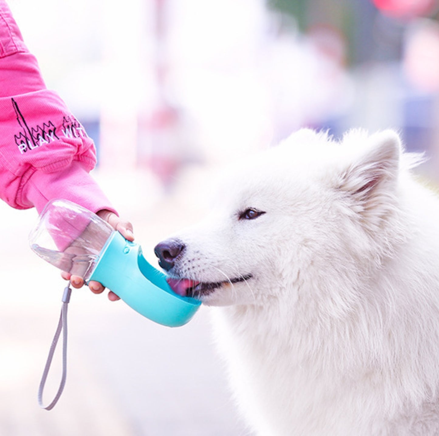 Portable Pet Water Bottle - Leak-proof and Durable, 550ml