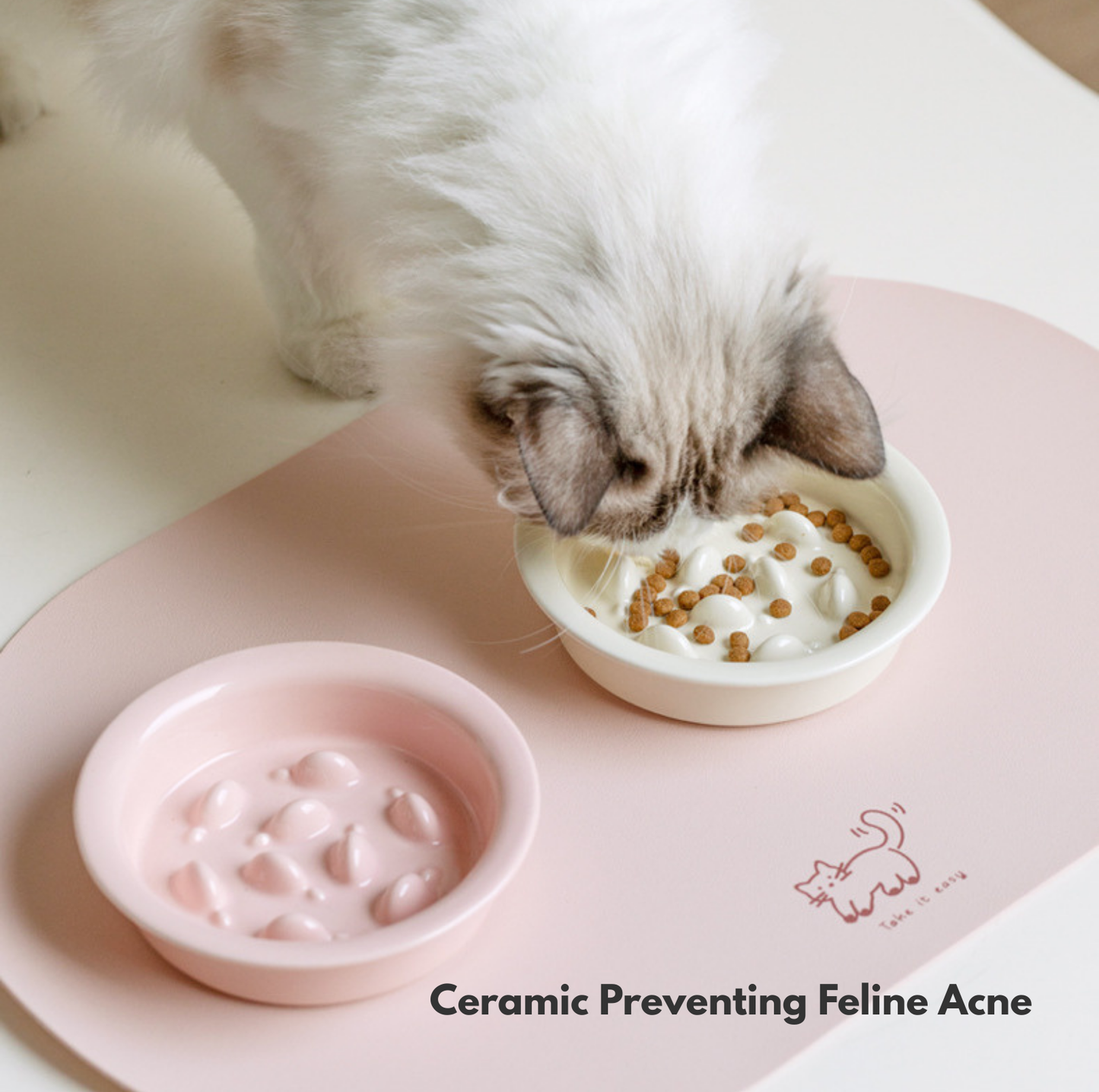 Little Fish Ceramic Slow Feeder Bowl for Cats & Small Dogs