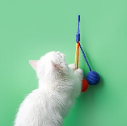 Colourful Sisal Hanging Cat Toy Ball