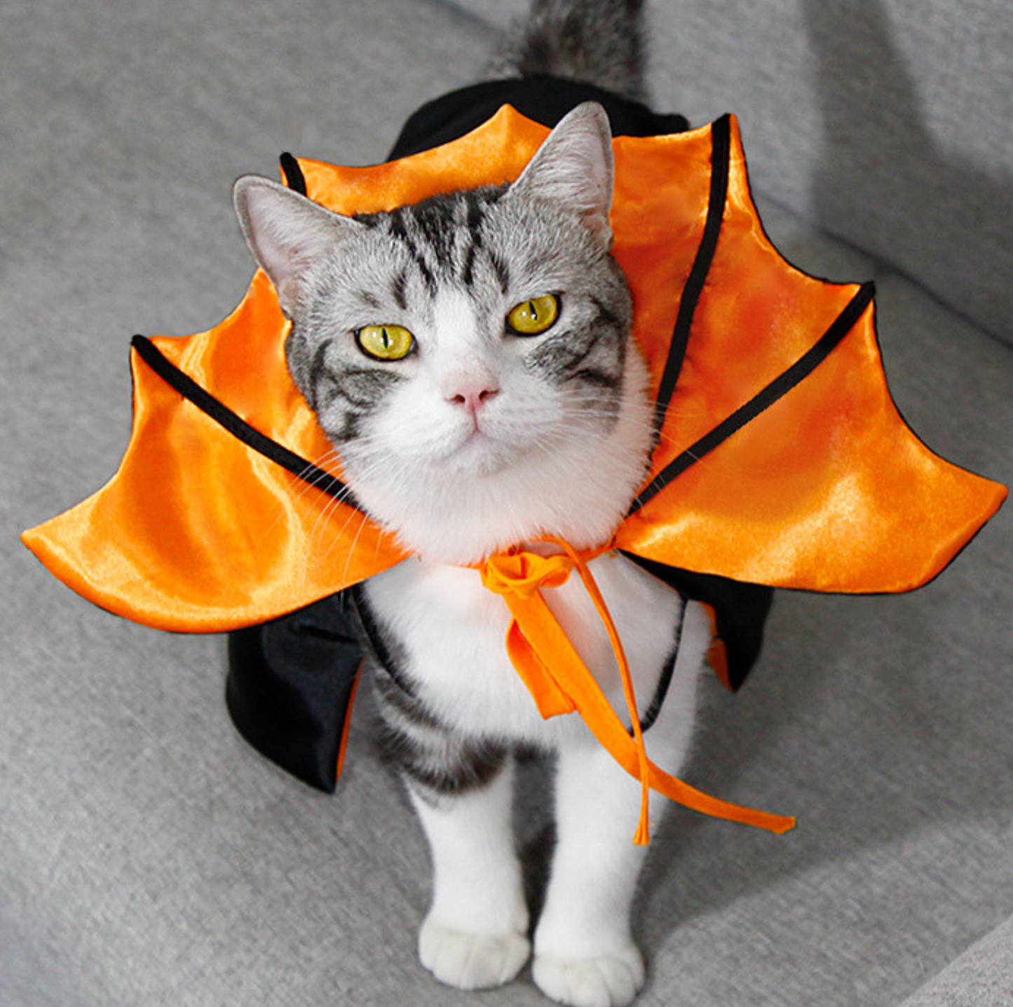 Halloween Vampire Cape for Cats and Dogs