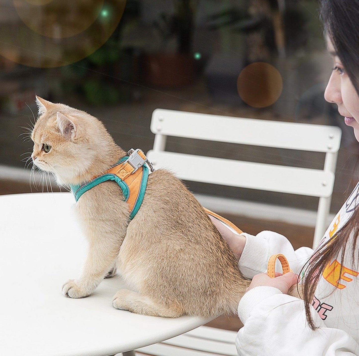 Reflective Pet Vest Harness with Anti-Escape Design