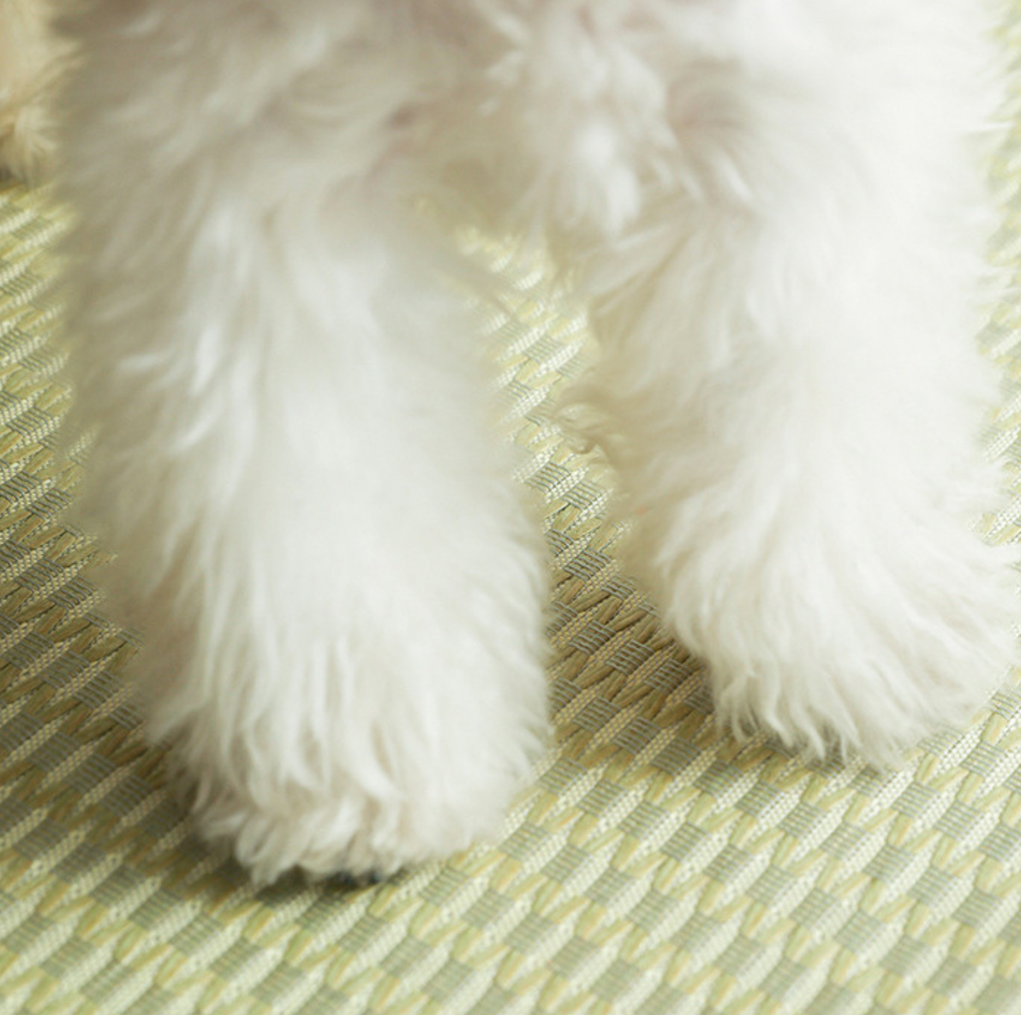 Summer Cool Feeling Pet Mat with Neck Pillow