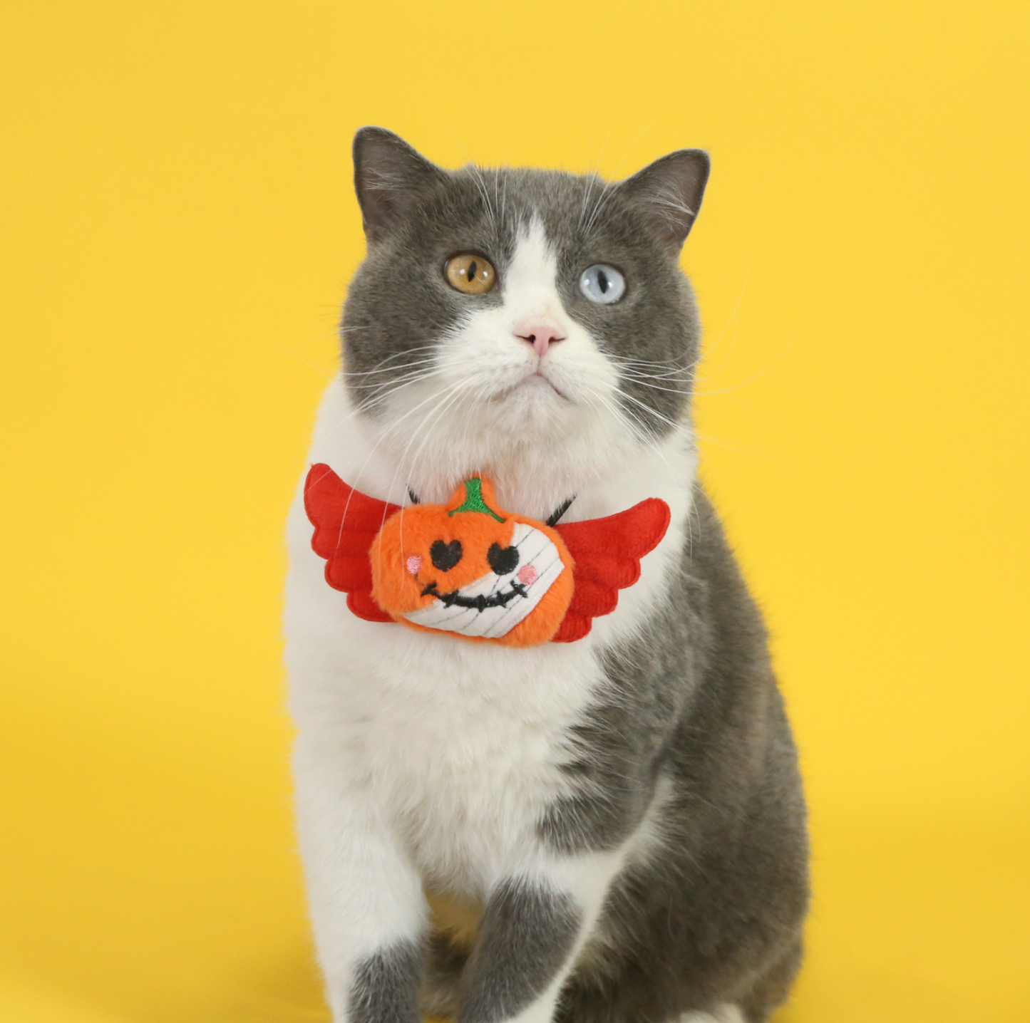 Halloween Pet Bib Collar – Pumpkin, Ghost, Spider & Bat Plush Designs for Cats and Dogs
