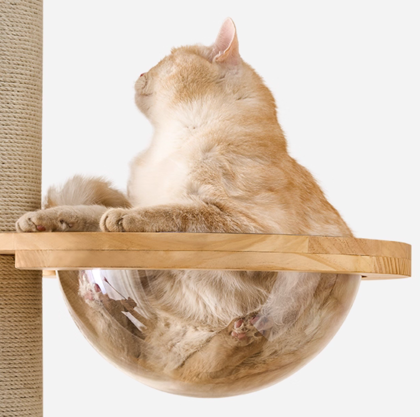 Solid Wood Adjustable Ceiling-Mounted Cat Tower - Style A