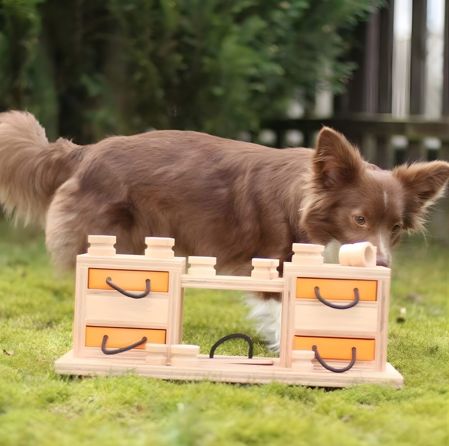 Interactive Wooden Dog Puzzle Toy – Two Towers Multi-Level Treat Game (Advanced Enrichment)