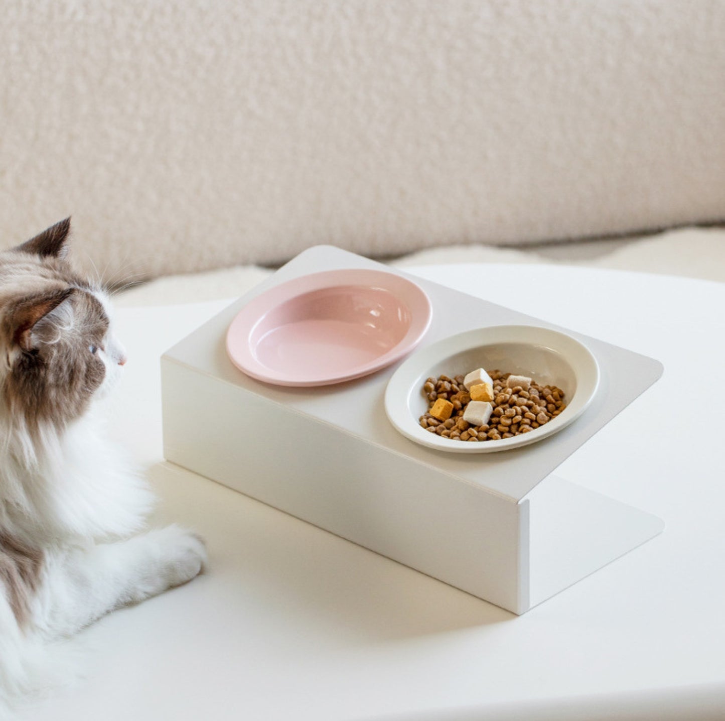 Ceramic Double Pet Bowl with Tilted Iron Stand