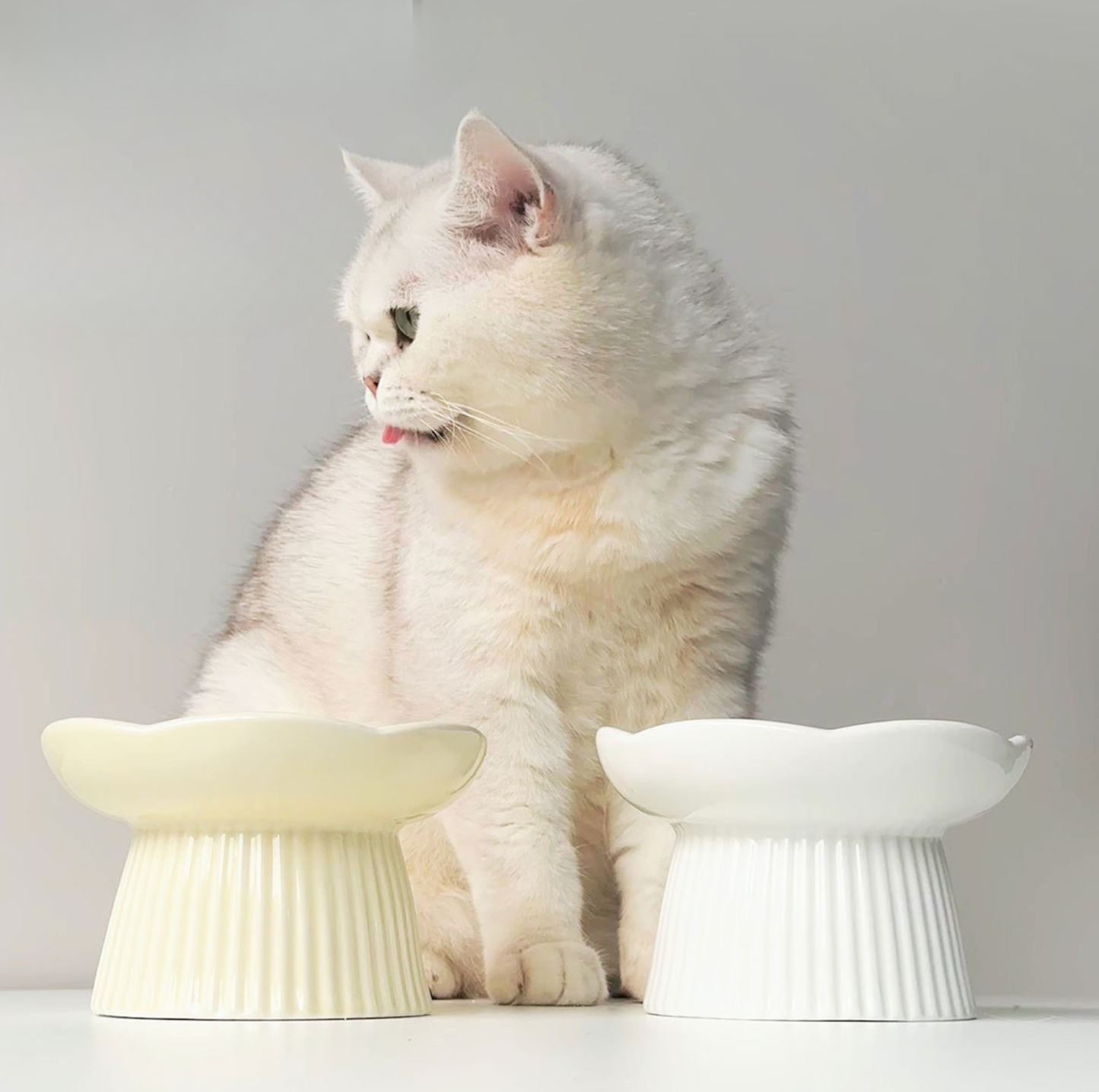 Rose-Styled Elevated Ceramic Pet Slow Feeder