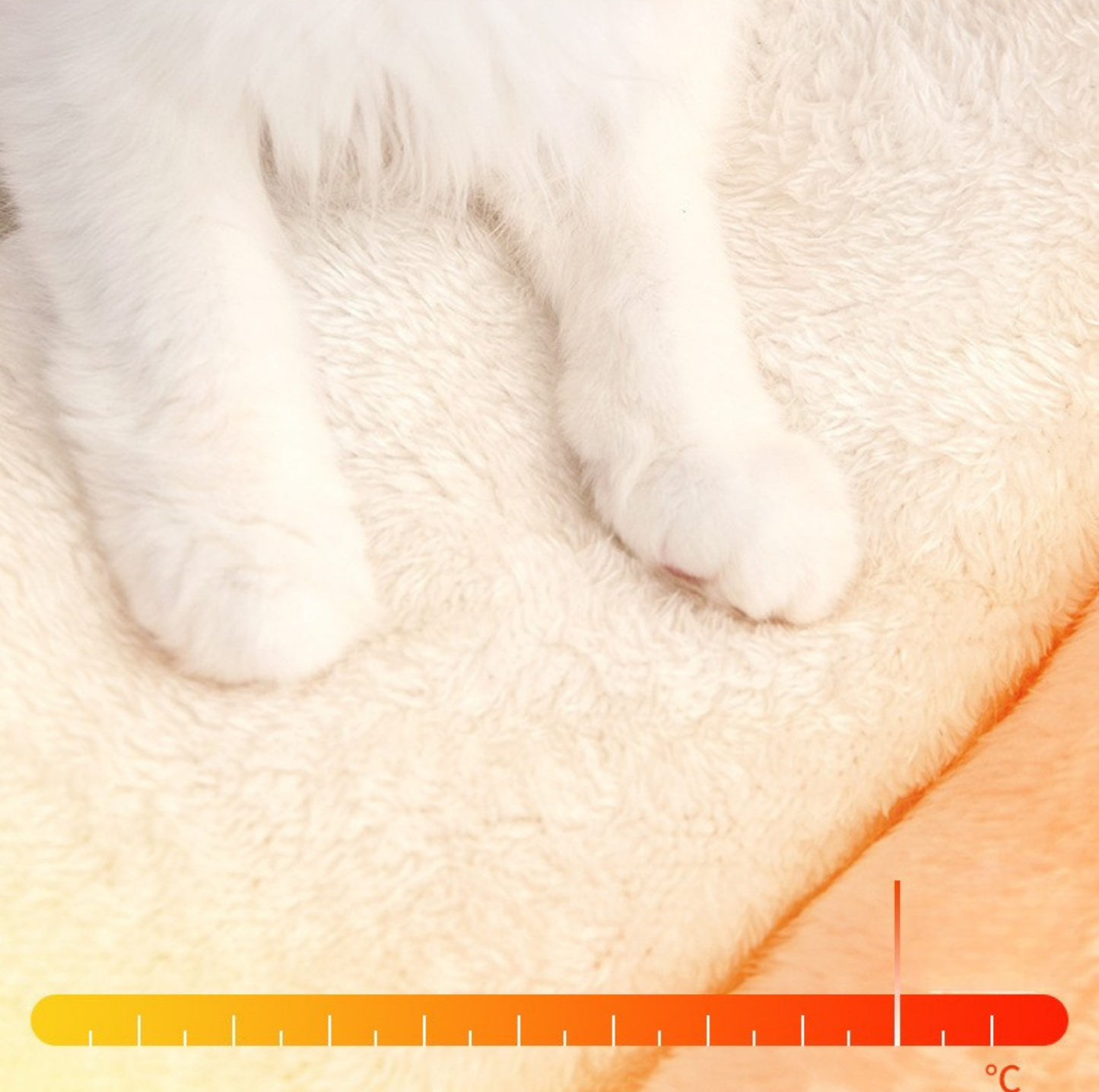 Cloud Tent Cosy Enclosed Pet House