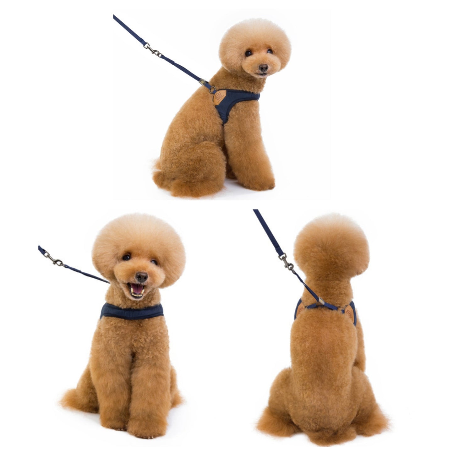 V-Shaped Dog Vest Harness with Leash