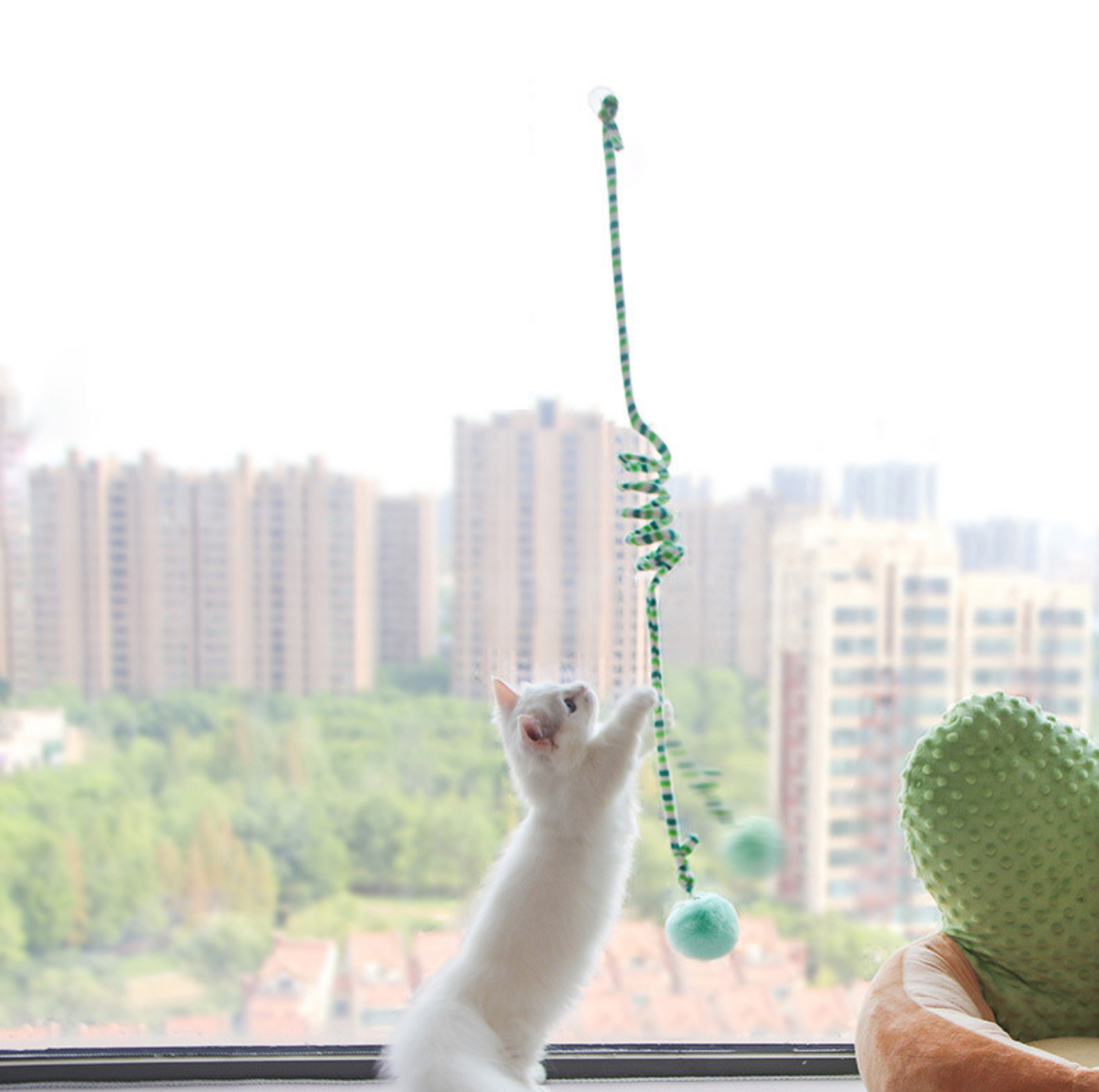 Hanging Elastic Cat Teaser Toy – Interactive Pom Ball with Suction Cup