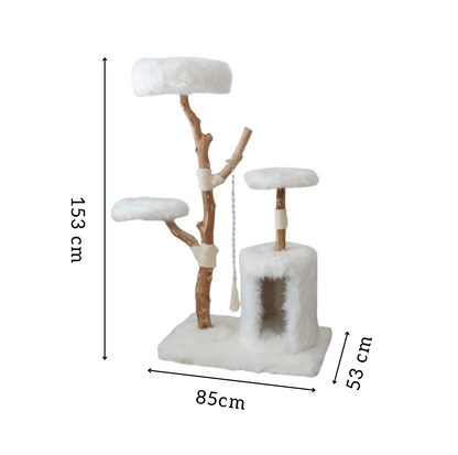 Cmisstree Cloud Series Cat Climbing Tree with House - Natural Fruitwood