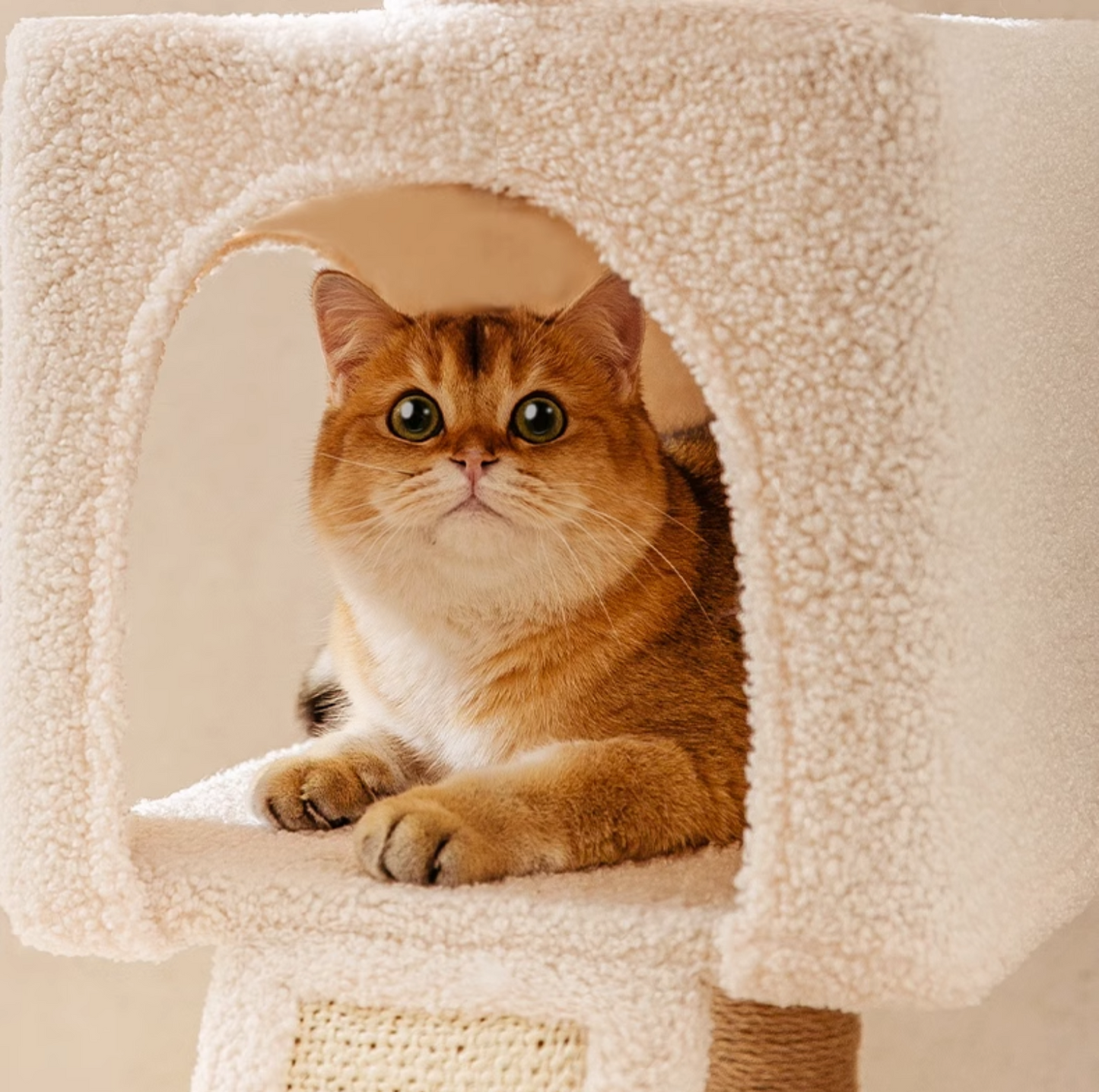 Ona's Cottage Multi-Tier Cat Tree with Cat Scratching Posts