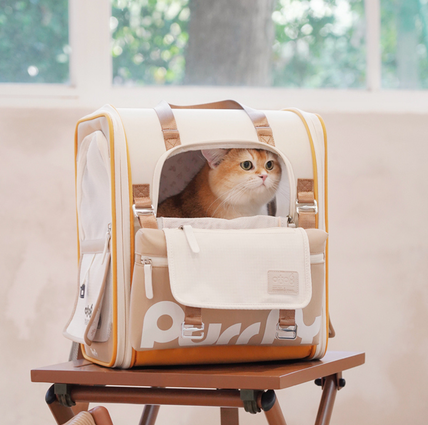 Cat peeking out from a beige pet carrier with 'Purrpy' branding on a wooden table.