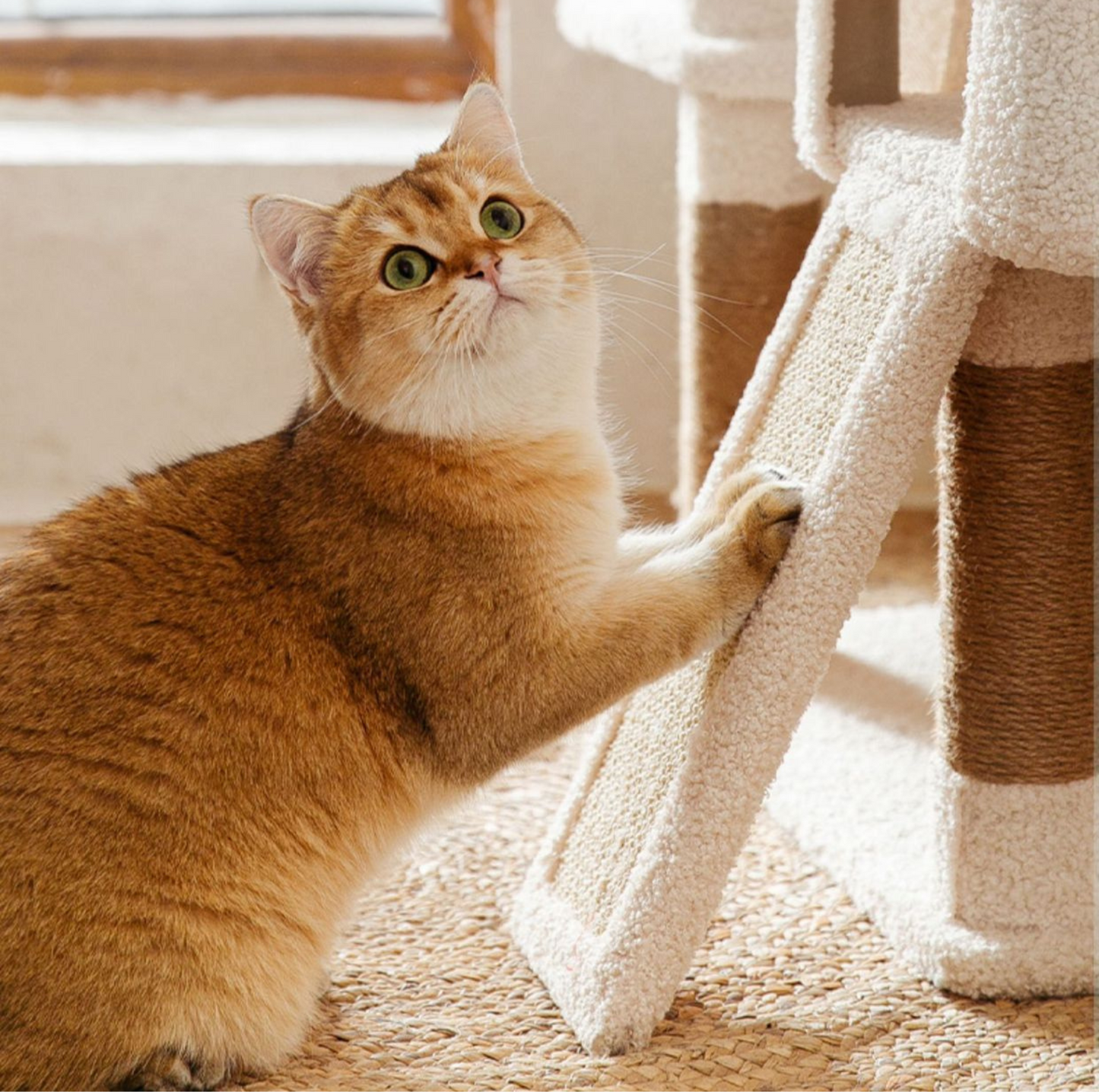 Ona's Cottage Multi-Tier Cat Tree with Cat Scratching Posts