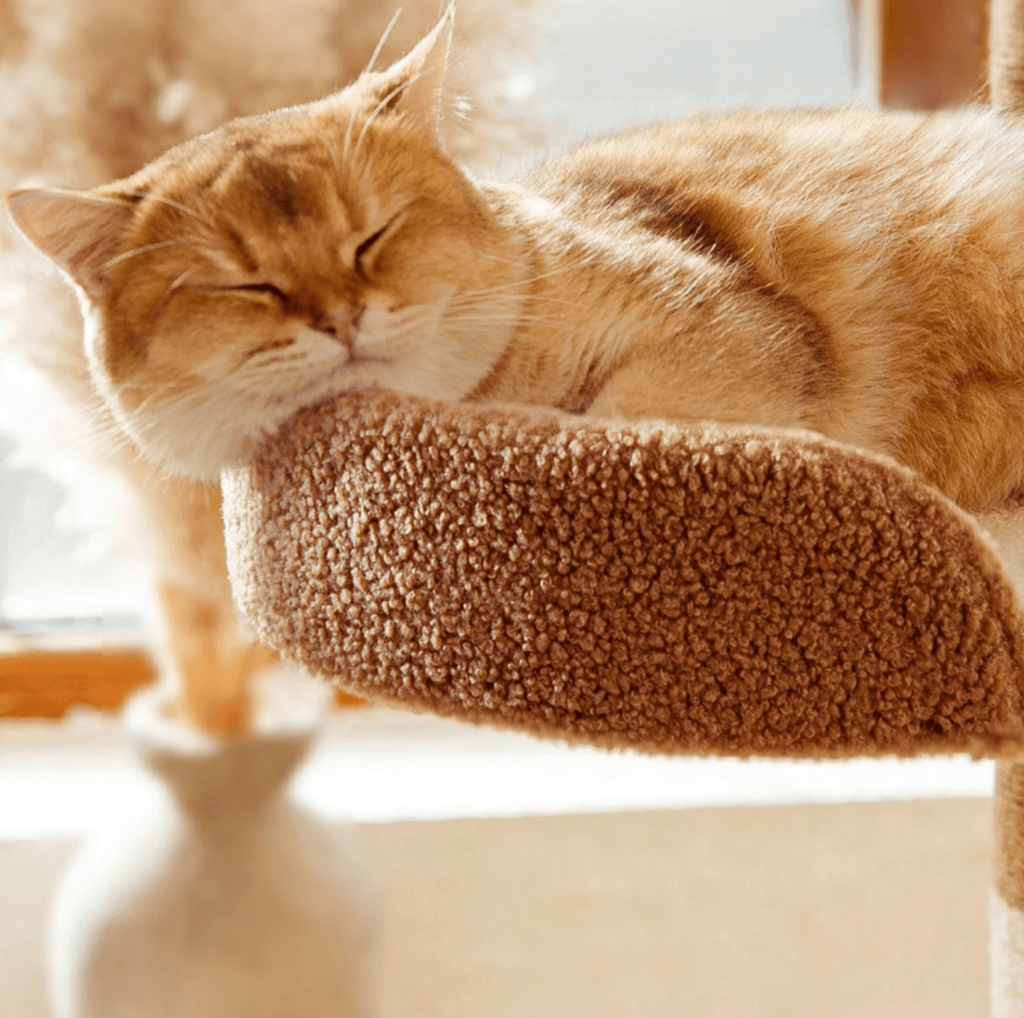 Ona's Cottage Multi-Tier Cat Tree with Cat Scratching Posts