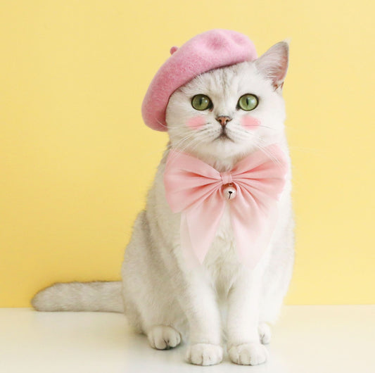 Adjustable Pink Velvet Large Bow Pet Collar - {{product.type}} - PawPawUp