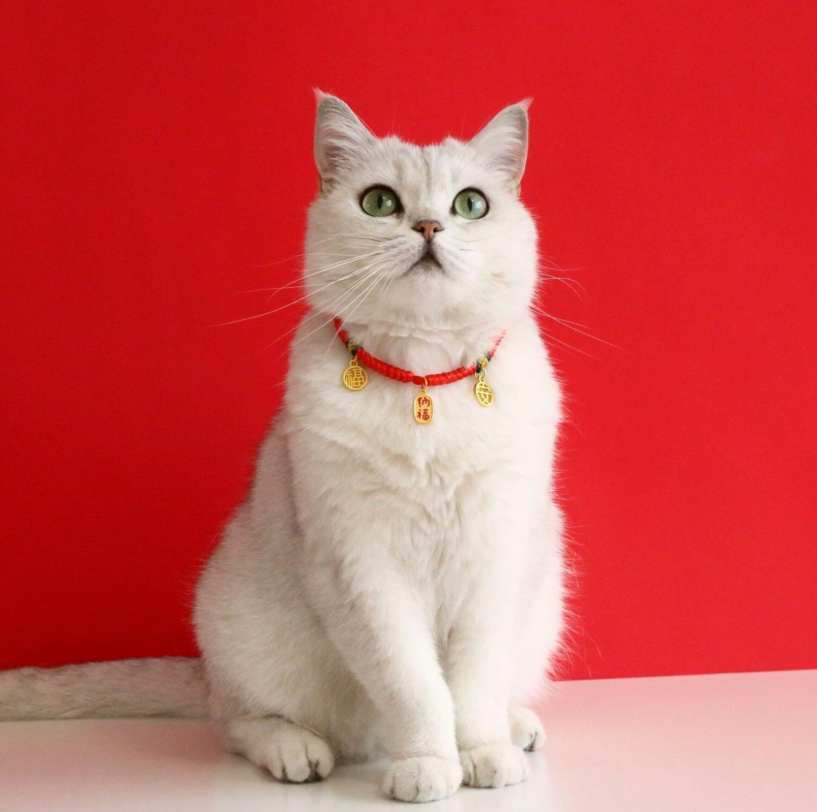 Adjustable Red Cord Pet Collar with Chinese Wishes Pendants - {{product.type}} - PawPawUp