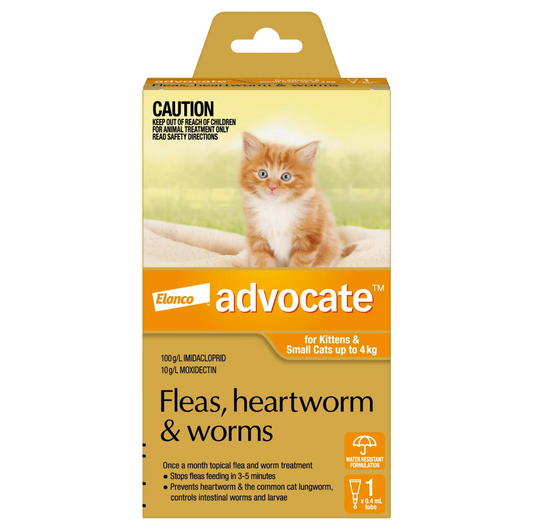 Advocate 0-4kg Cat Spot-On Flea & Worm Treatment - {{product.type}} - PawPawUp
