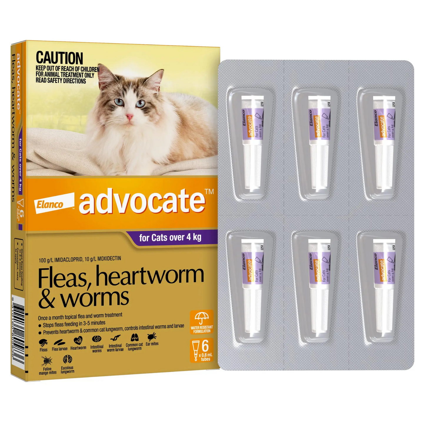 Advocate Over 4kg Cat Spot-On Flea & Worm Treatment - {{product.type}} - PawPawUp