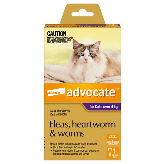 Advocate Over 4kg Cat Spot-On Flea & Worm Treatment - {{product.type}} - PawPawUp