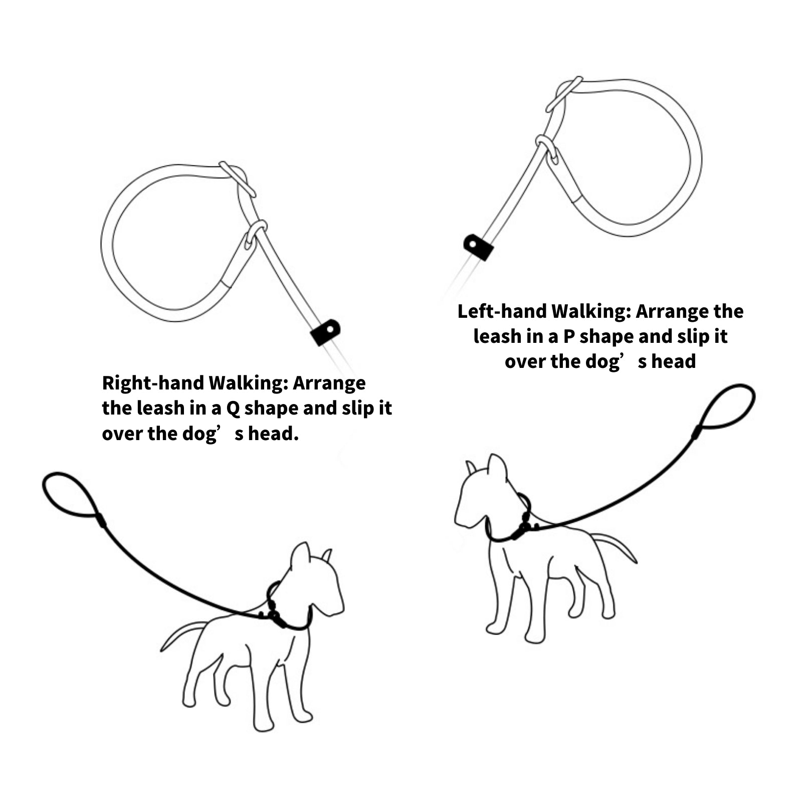 Anti-Pull Dog Leash with P-Chain - Escape-Proof, Durable Lead for Medium and Large Dogs - {{product.type}} - PawPawUp