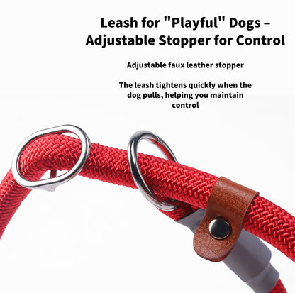 Anti-Pull Dog Leash with P-Chain - Escape-Proof, Durable Lead for Medium and Large Dogs - {{product.type}} - PawPawUp