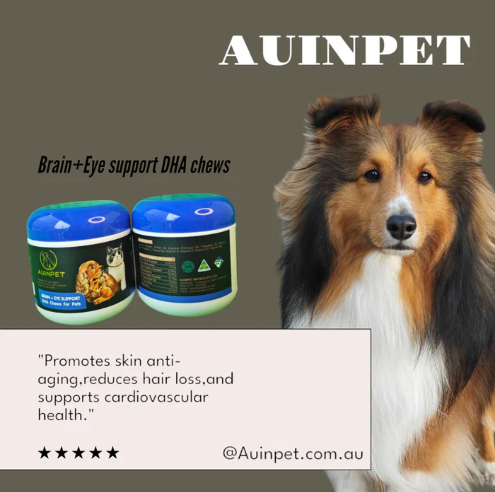 AUINPET BRAIN + EYE SUPPORT DHA Chews For Pets - {{product.type}} - PawPawUp