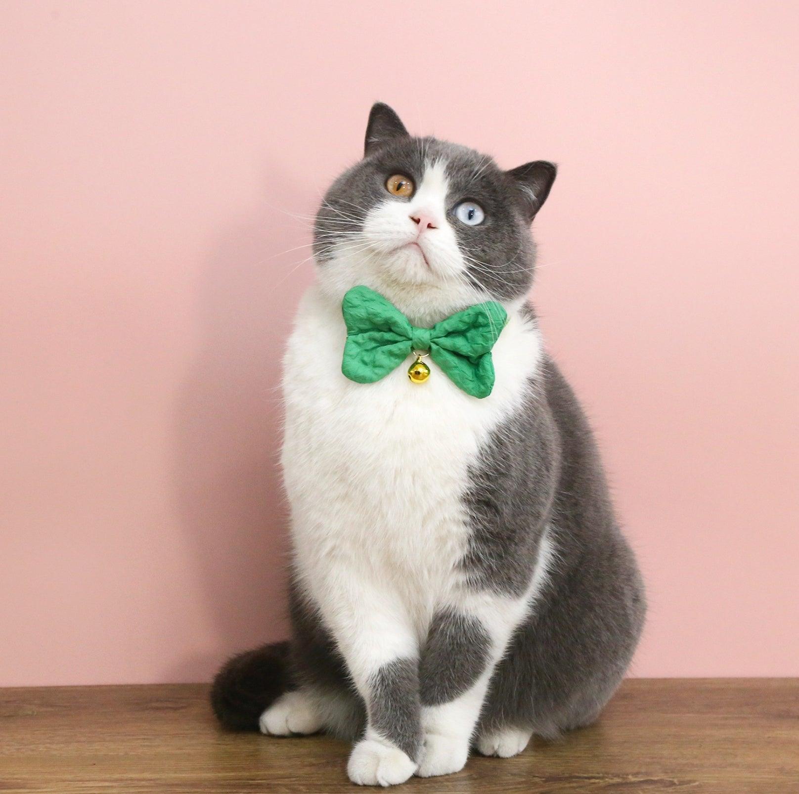 Candy-Colored Denim Bowtie Adjustable Pet Collar - {{product.type}} - PawPawUp