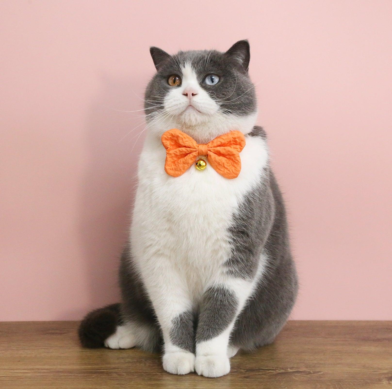 Candy-Colored Denim Bowtie Adjustable Pet Collar - {{product.type}} - PawPawUp