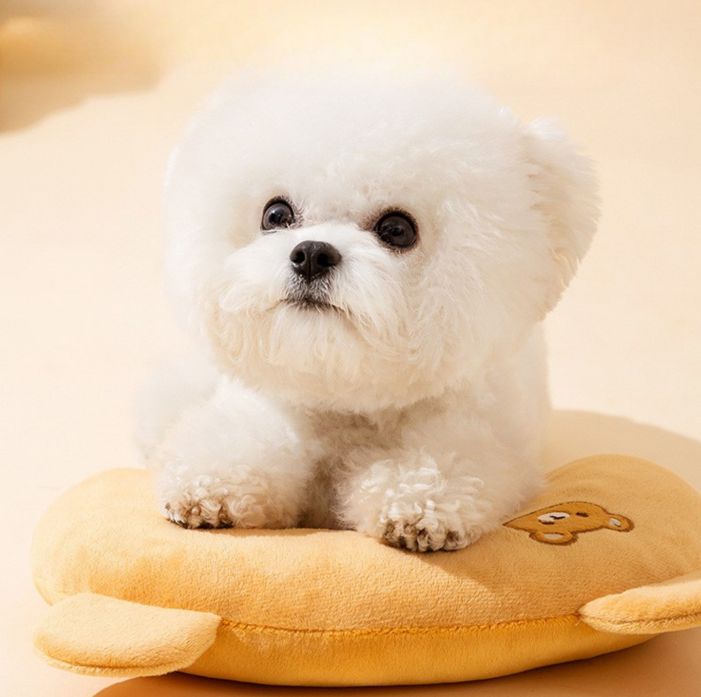 Cartoon U-Shaped Pillow for Pets – All-Season Comfort - {{product.type}} - PawPawUp