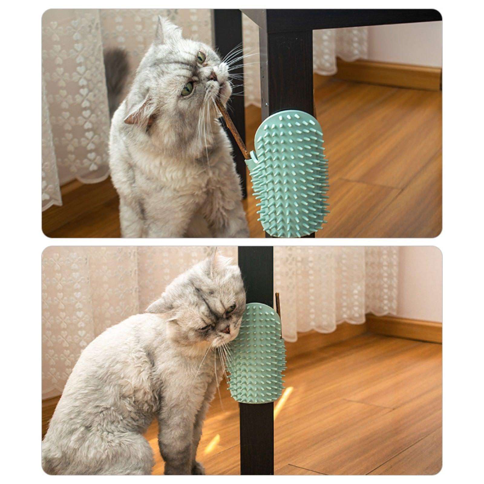 Cat Corner Scratcher Self Grooming Massager - {{product.type}} - PawPawUp