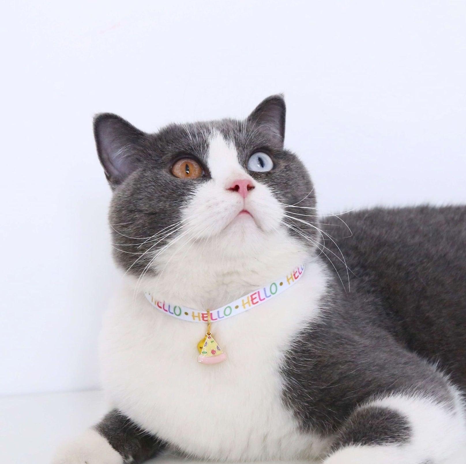 Charming Food Pendant Collar with Copper Bell for Pets - {{product.type}} - PawPawUp
