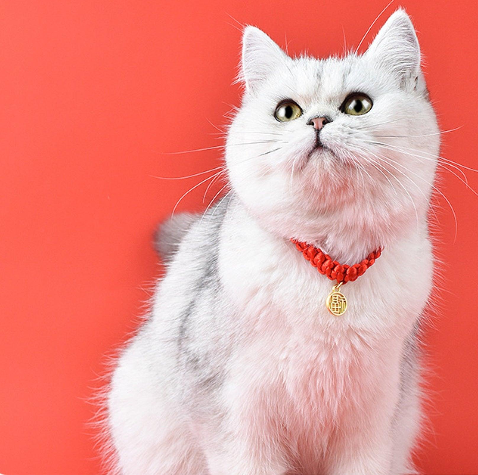 Chinese Style Fortune Pet Collar - {{product.type}} - PawPawUp
