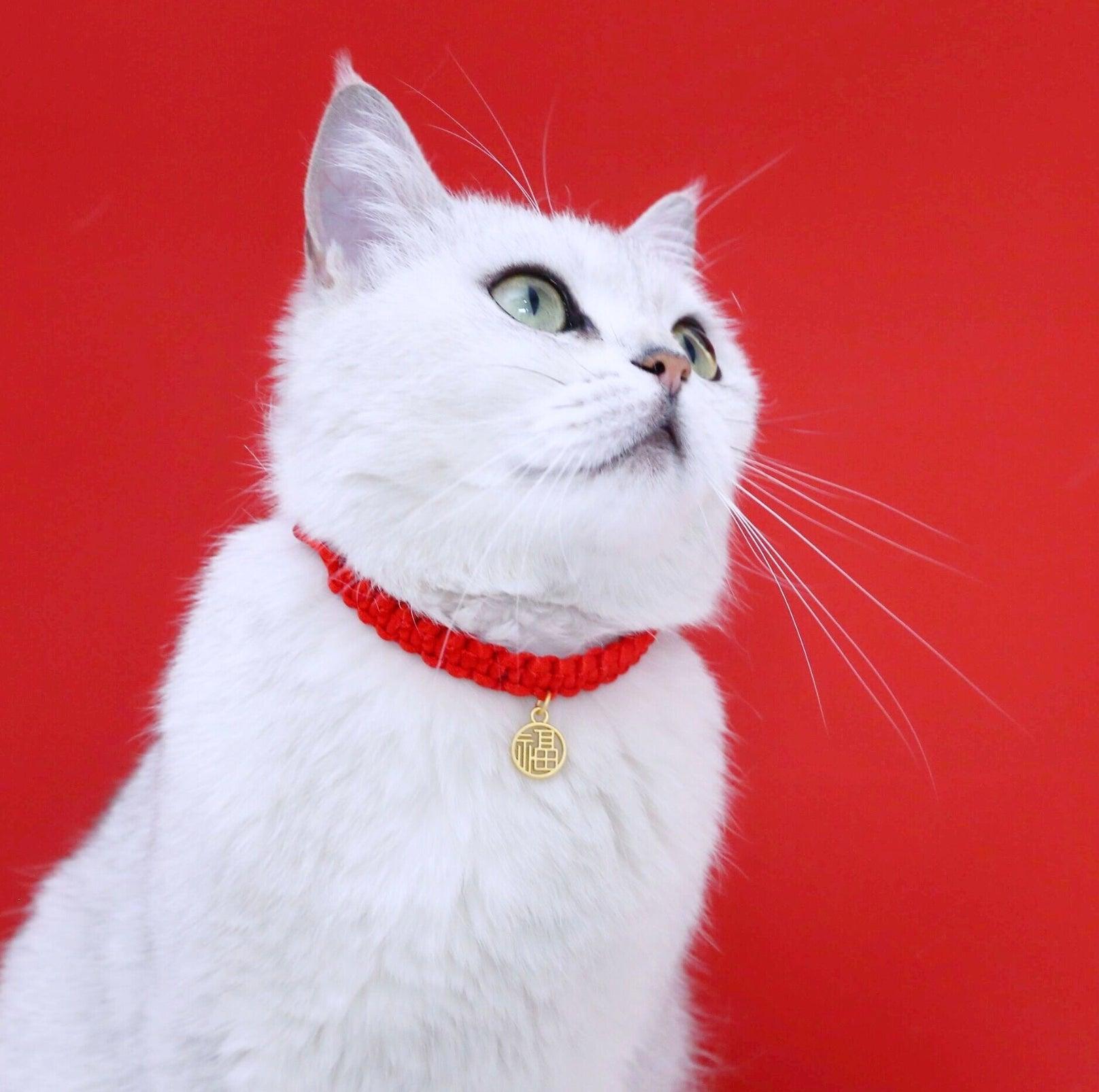 Chinese Style Fortune Pet Collar - {{product.type}} - PawPawUp