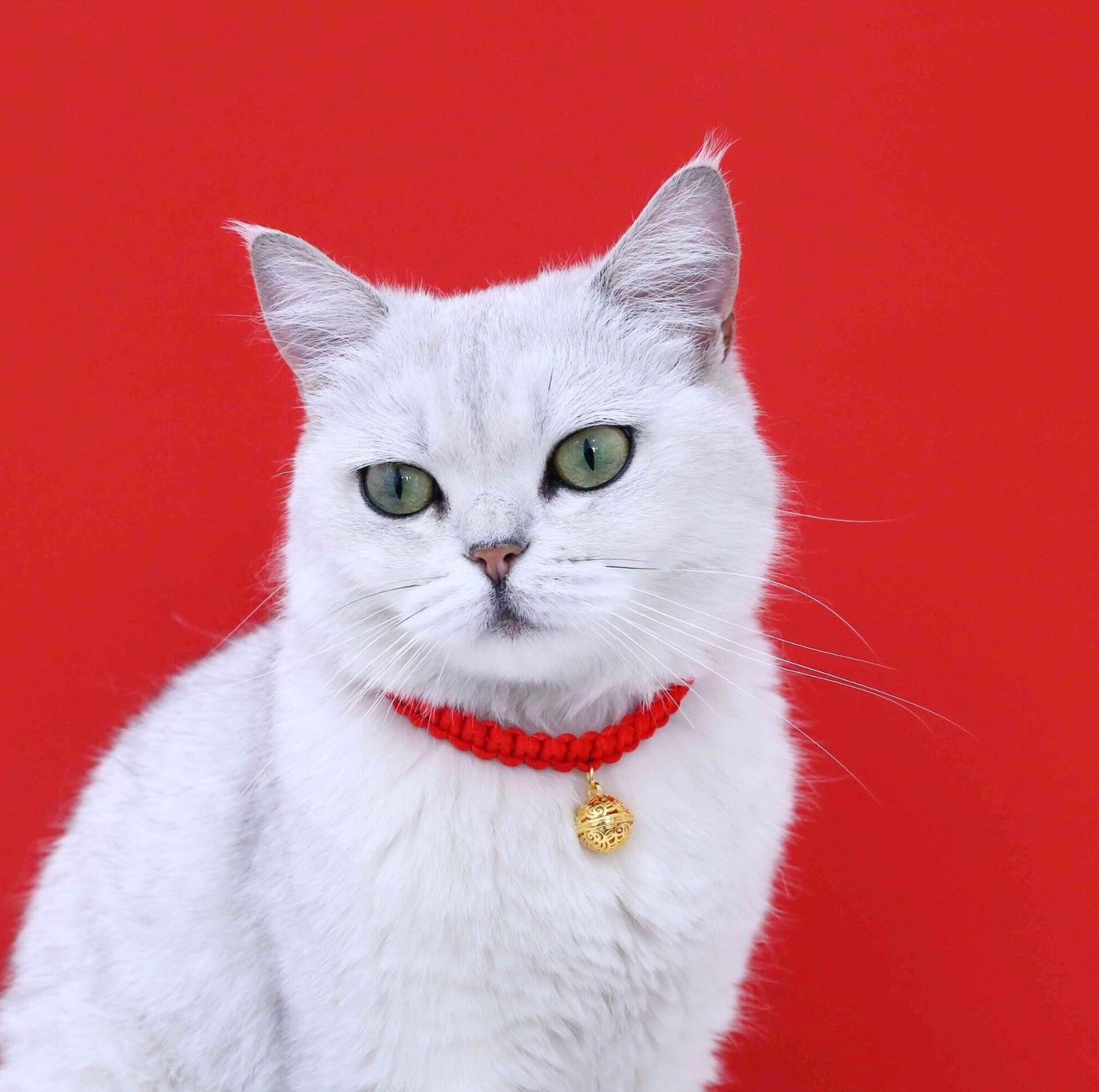 Chinese Style Fortune Pet Collar - {{product.type}} - PawPawUp