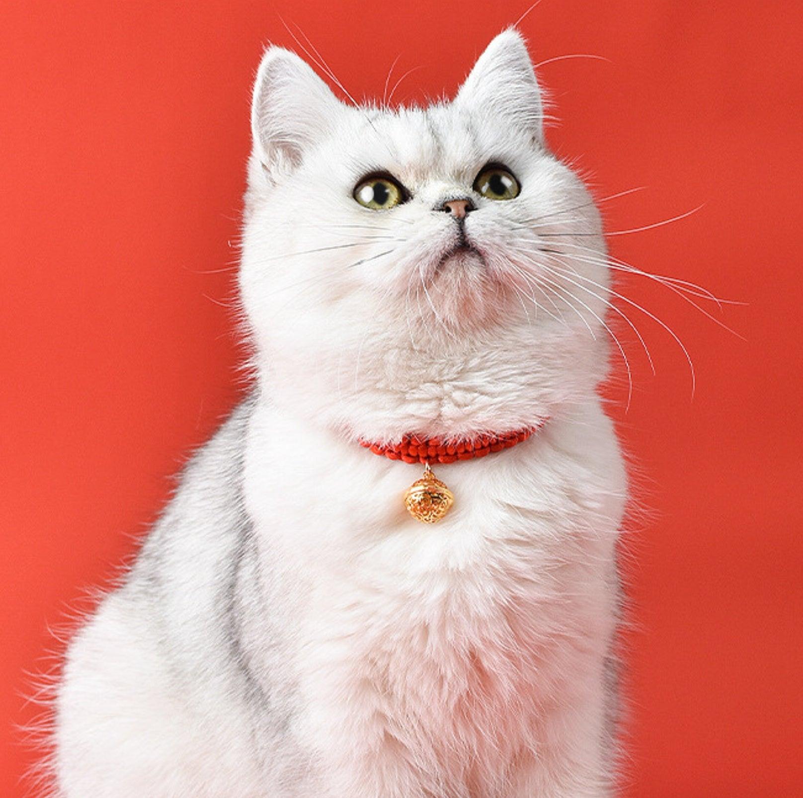 Chinese Style Fortune Pet Collar - {{product.type}} - PawPawUp